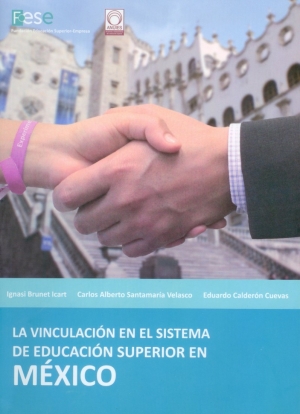 Linking on Higher Education System of Mexico